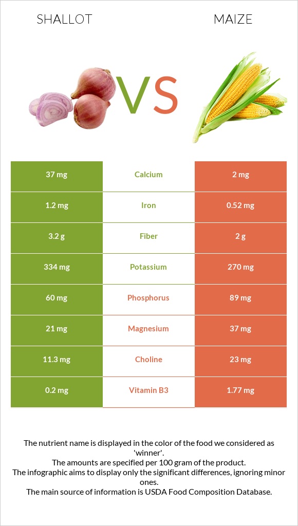 Shallot vs Corn infographic
