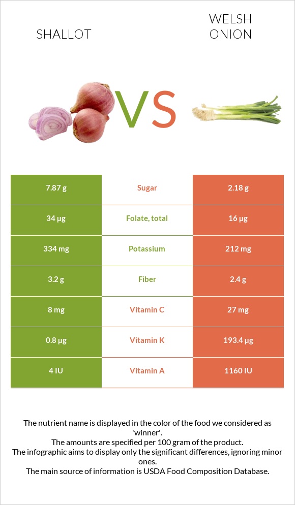 Shallot vs Welsh onion infographic