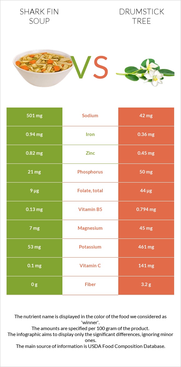 Shark fin soup vs Drumstick tree infographic