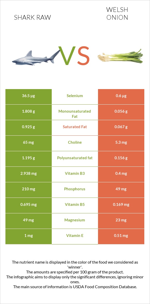 Շնաձկներ հում vs Սոխ բատուն infographic