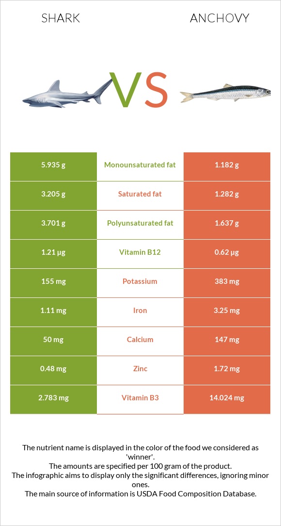 Շնաձկներ vs Anchovy infographic