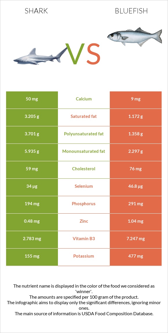 Shark vs Bluefish infographic