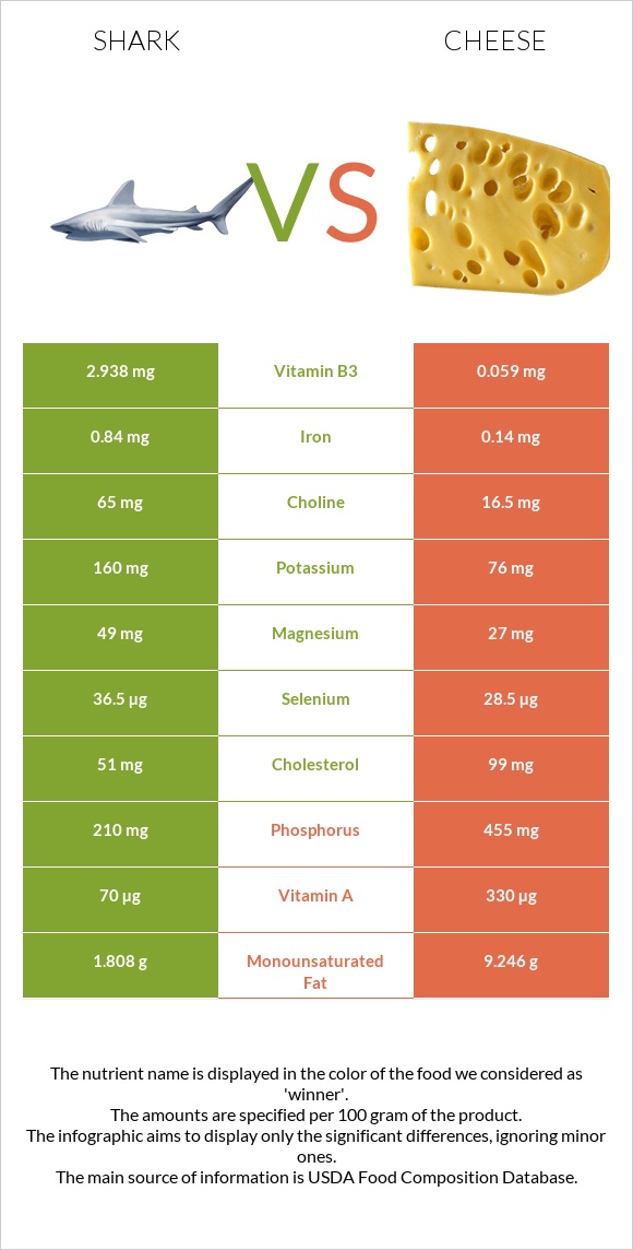 Shark vs Cheese infographic