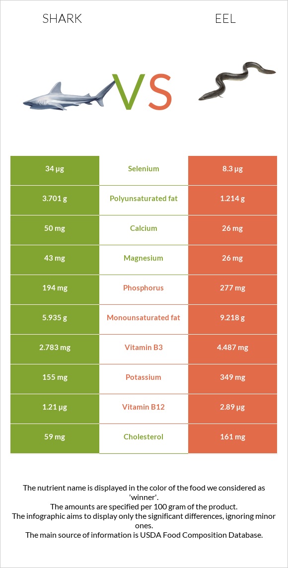 Շնաձկներ vs Eel infographic