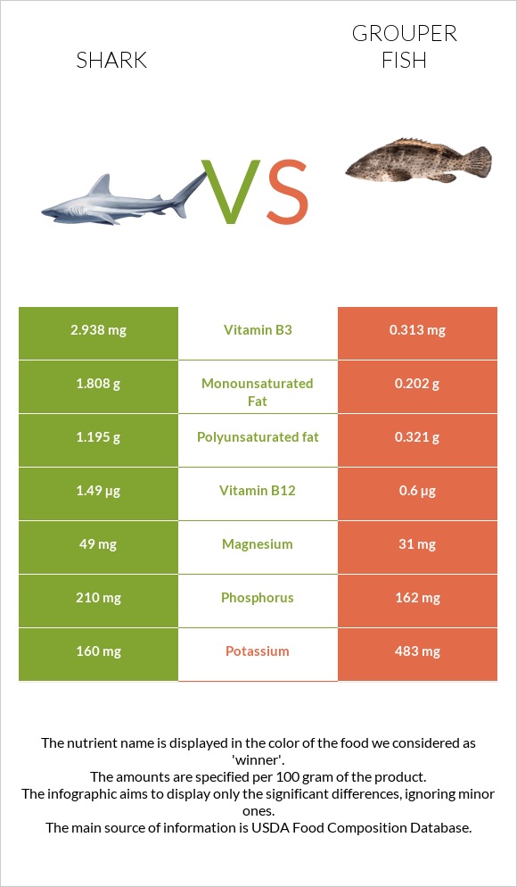Շնաձկներ vs Grouper fish infographic
