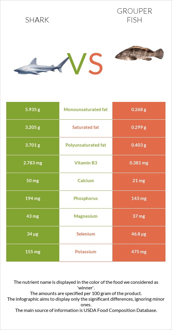 Շնաձկներ vs Grouper fish infographic