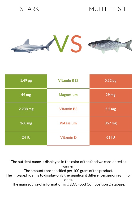 Շնաձկներ vs Mullet fish infographic