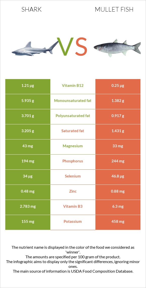 Շնաձկներ vs Mullet fish infographic