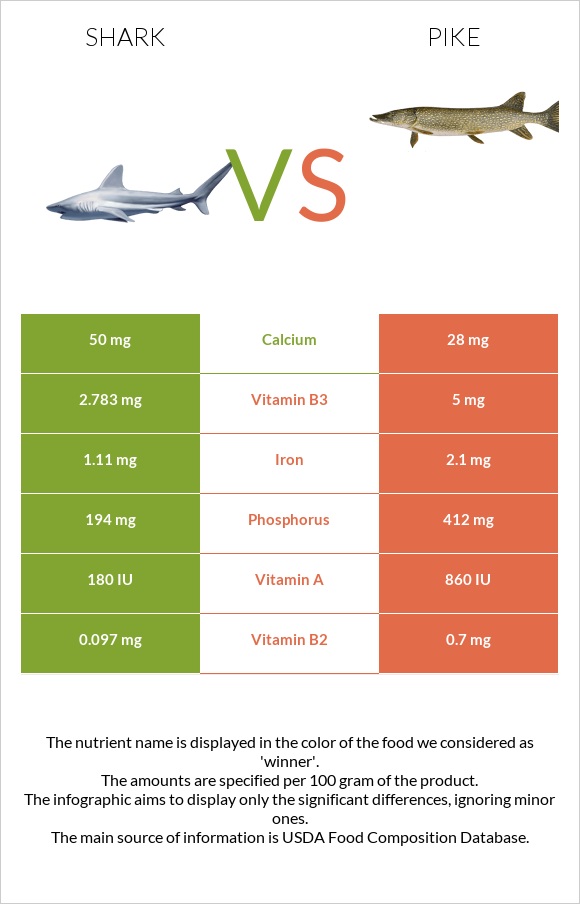 Շնաձկներ vs Pike infographic