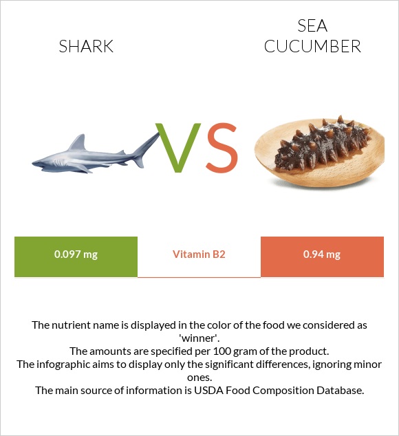 Shark vs Sea cucumber infographic