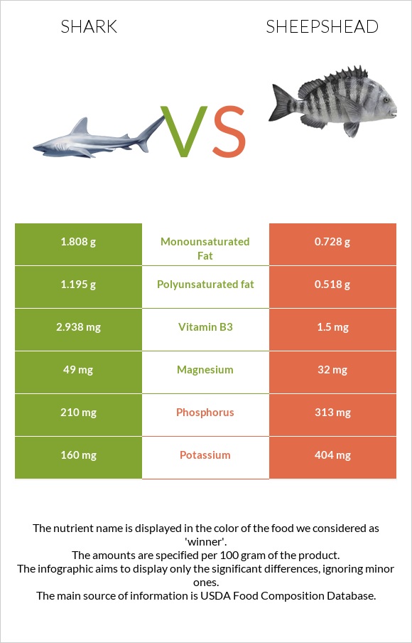 Shark vs Sheepshead infographic