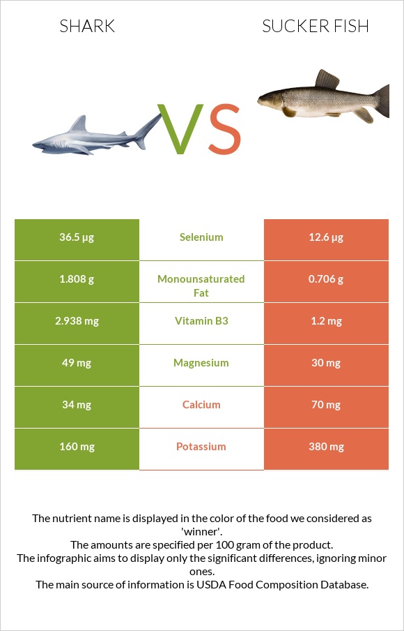 Շնաձկներ vs Sucker fish infographic
