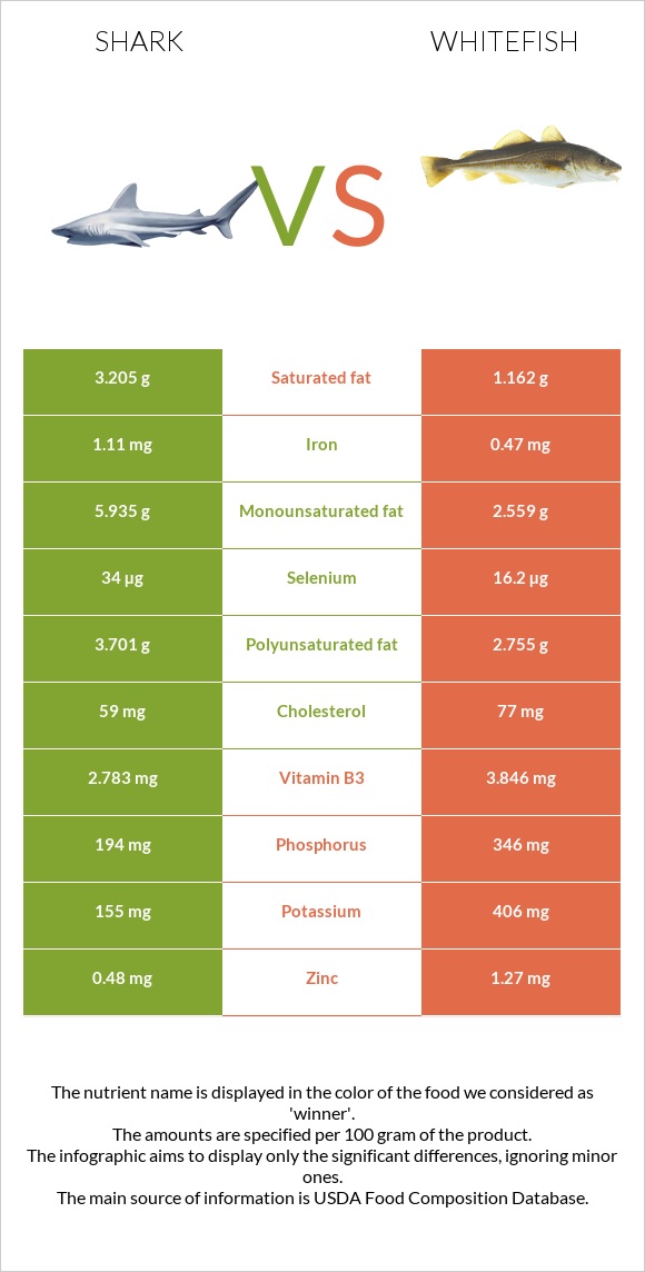 Shark vs Whitefish infographic