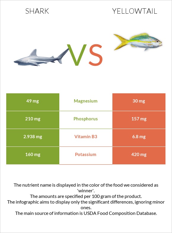 Shark vs Yellowtail infographic