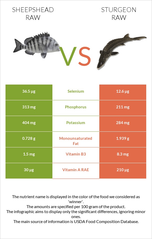 Sheepshead raw vs Sturgeon raw infographic