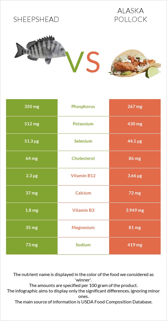 Sheepshead vs Pollock infographic