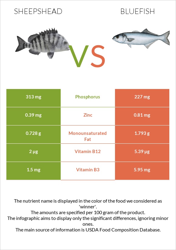Sheepshead vs Bluefish infographic
