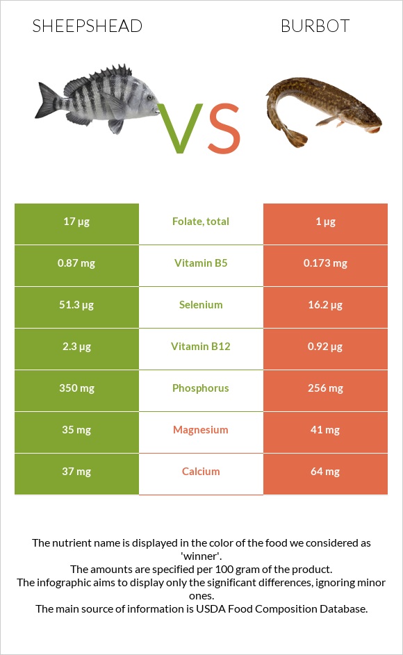 Sheepshead vs Burbot infographic