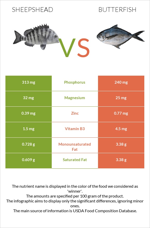 Sheepshead vs Butterfish infographic