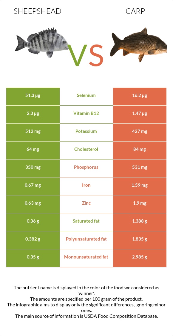 Sheepshead vs Carp infographic