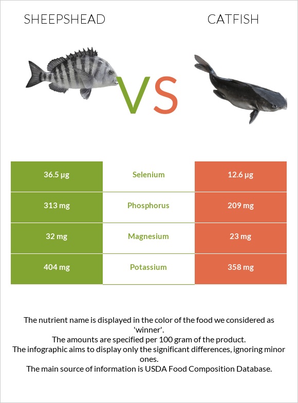 Sheepshead vs Catfish infographic
