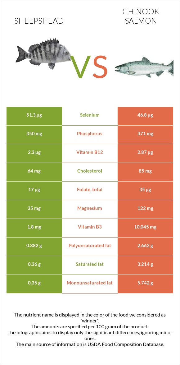 Sheepshead vs Chinook salmon infographic