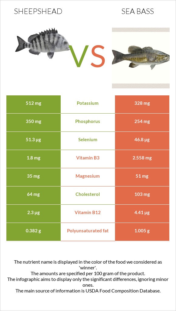 Sheepshead vs Sea bass infographic