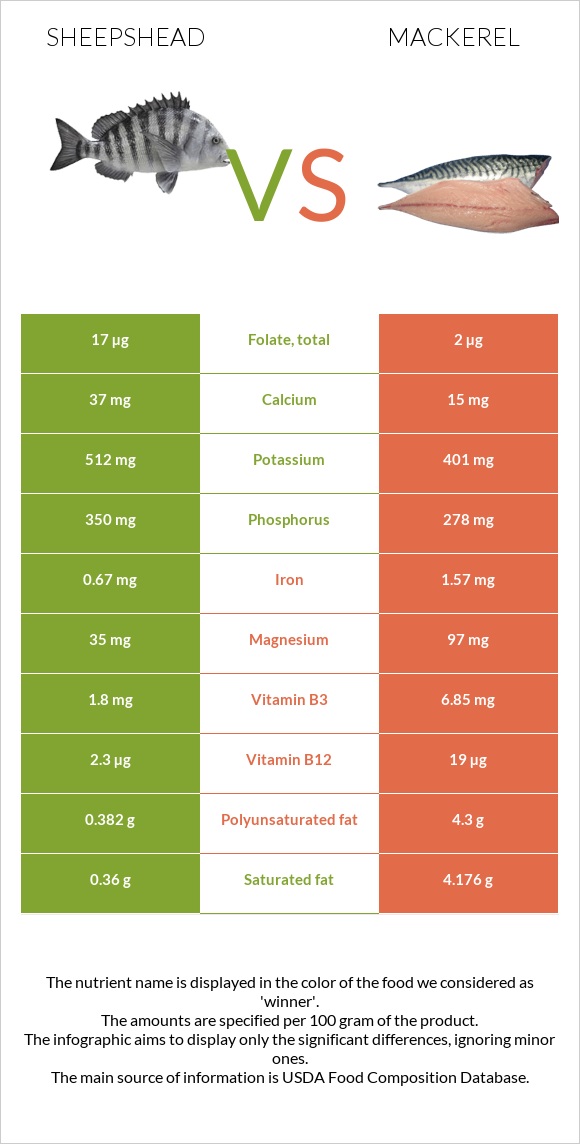 Sheepshead vs Սկումբրիա infographic