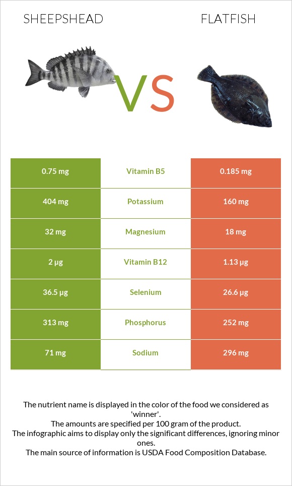 Sheepshead vs Flatfish infographic