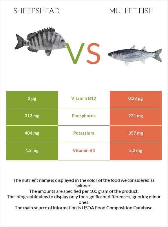Sheepshead vs Mullet fish infographic