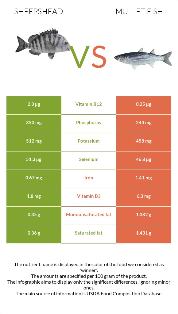 Sheepshead vs Mullet fish infographic