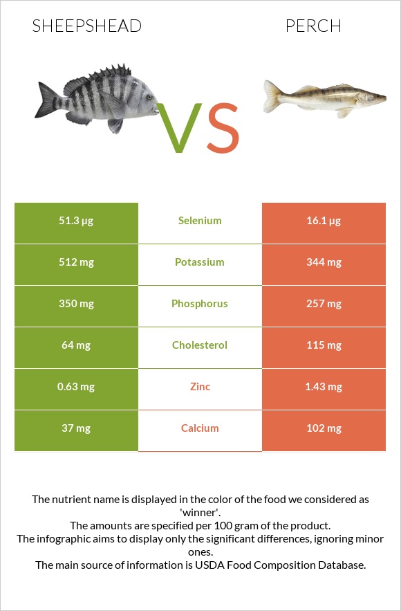 Sheepshead vs Perch infographic