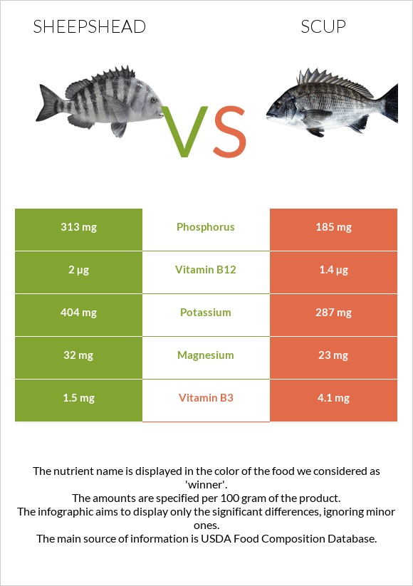 Sheepshead vs Scup infographic