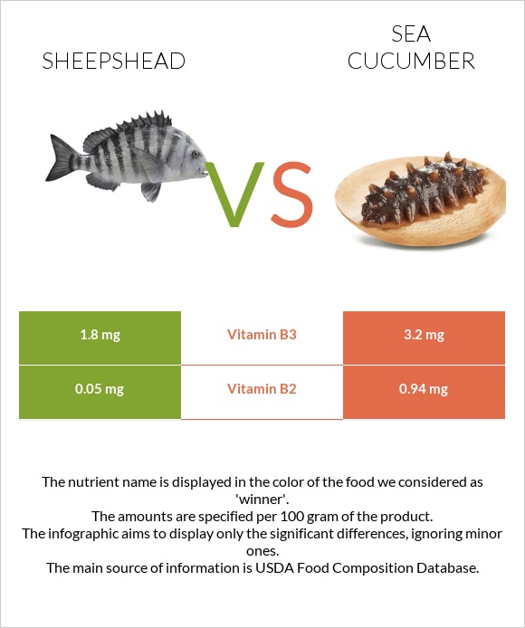 Sheepshead vs Sea cucumber infographic