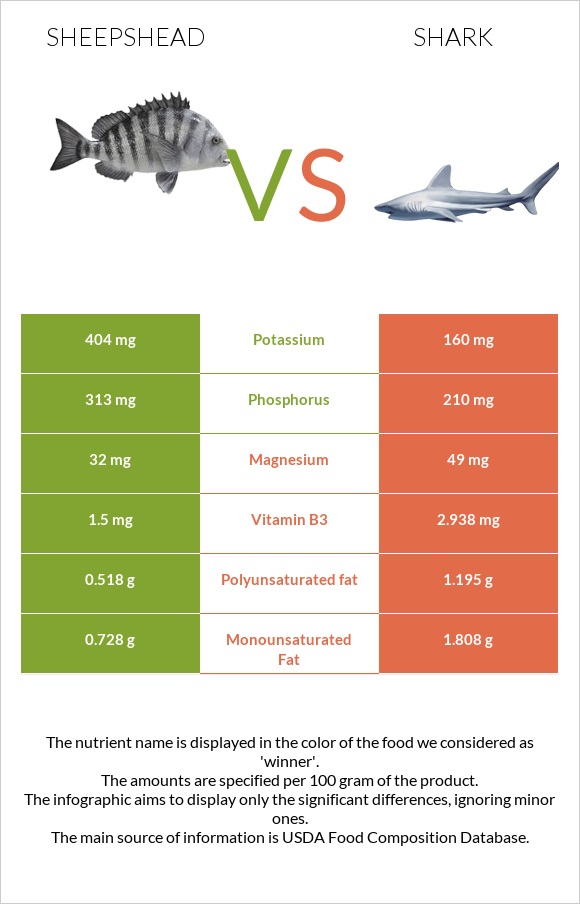 Sheepshead vs Shark infographic
