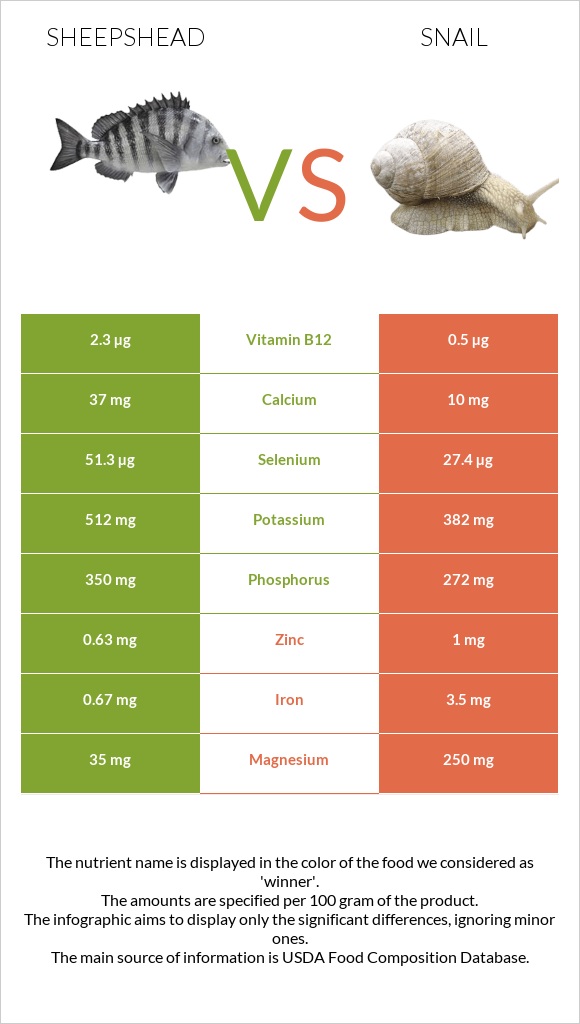 Sheepshead vs Խխունջ infographic