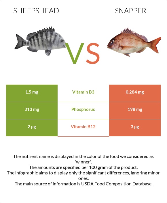 Sheepshead vs Snapper infographic