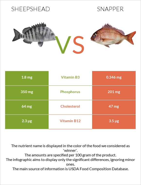 Sheepshead vs Snapper infographic