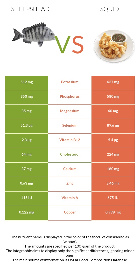 Sheepshead vs Տապակած կաղամար infographic