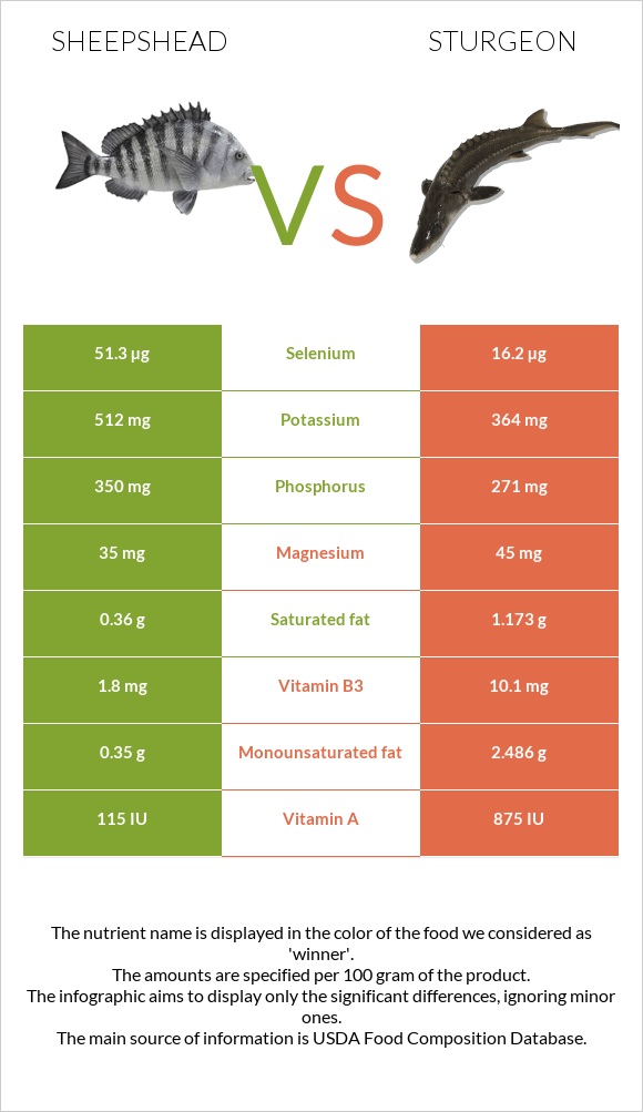 Sheepshead vs Sturgeon infographic