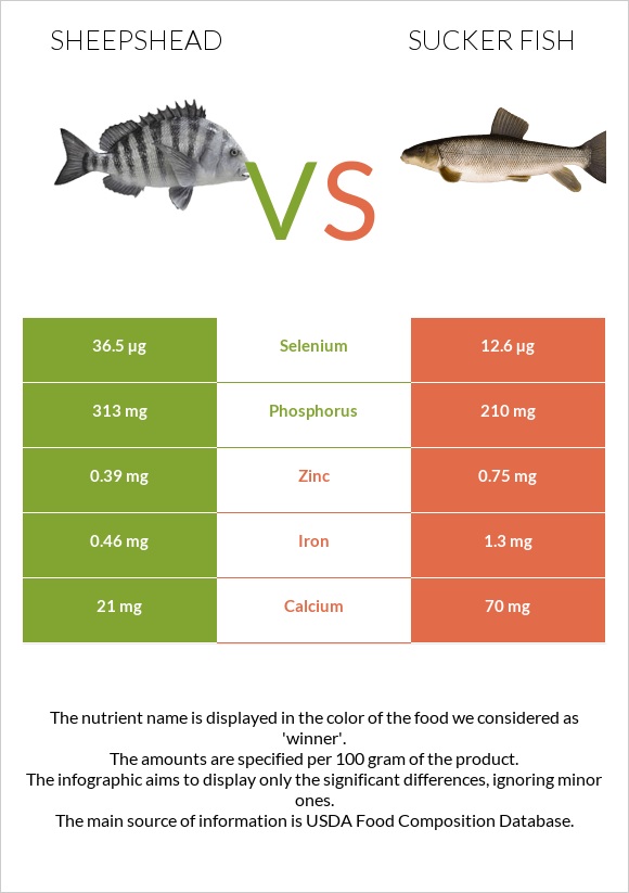 Sheepshead vs Sucker fish infographic