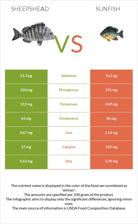 Sheepshead vs Sunfish infographic