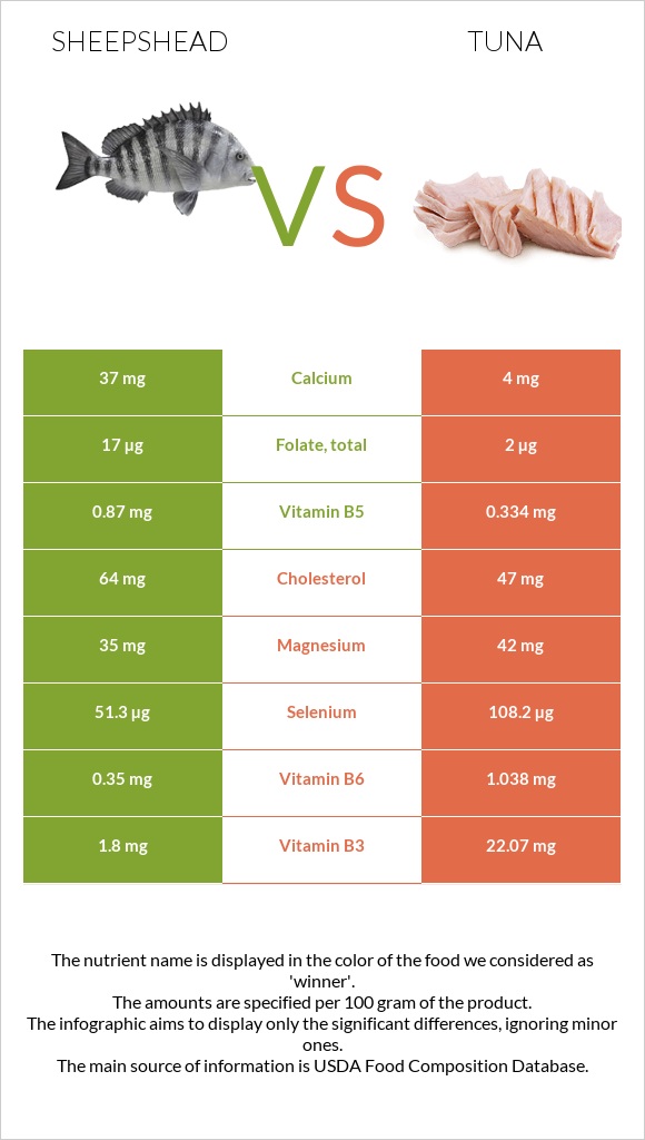 Sheepshead vs Թունա infographic