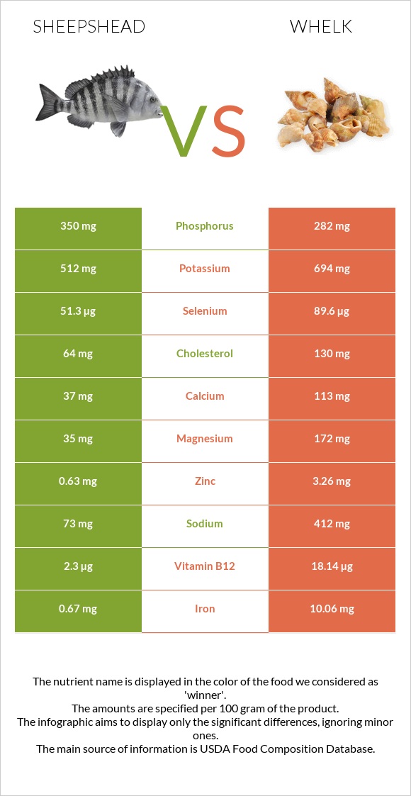 Sheepshead vs Whelk infographic