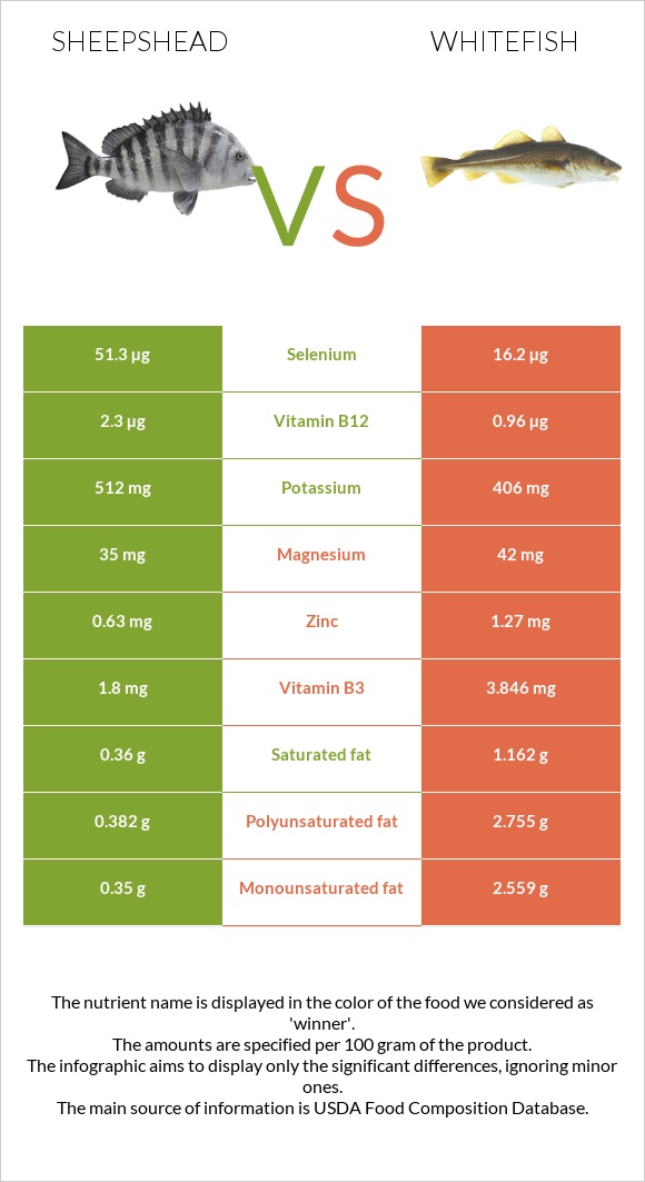 Sheepshead vs Whitefish infographic