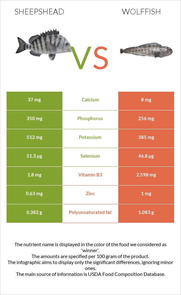 Sheepshead vs Wolffish infographic