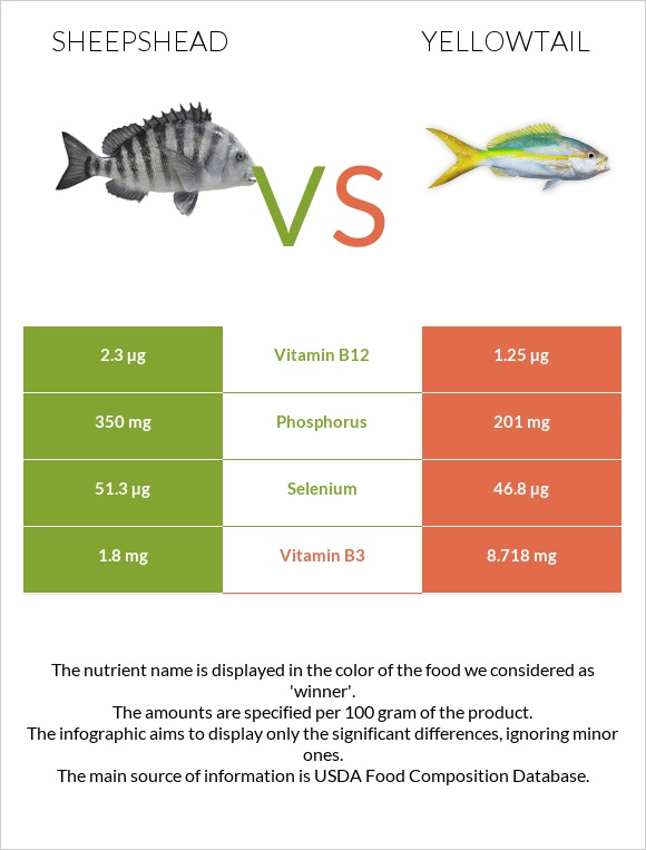 Sheepshead vs Yellowtail infographic