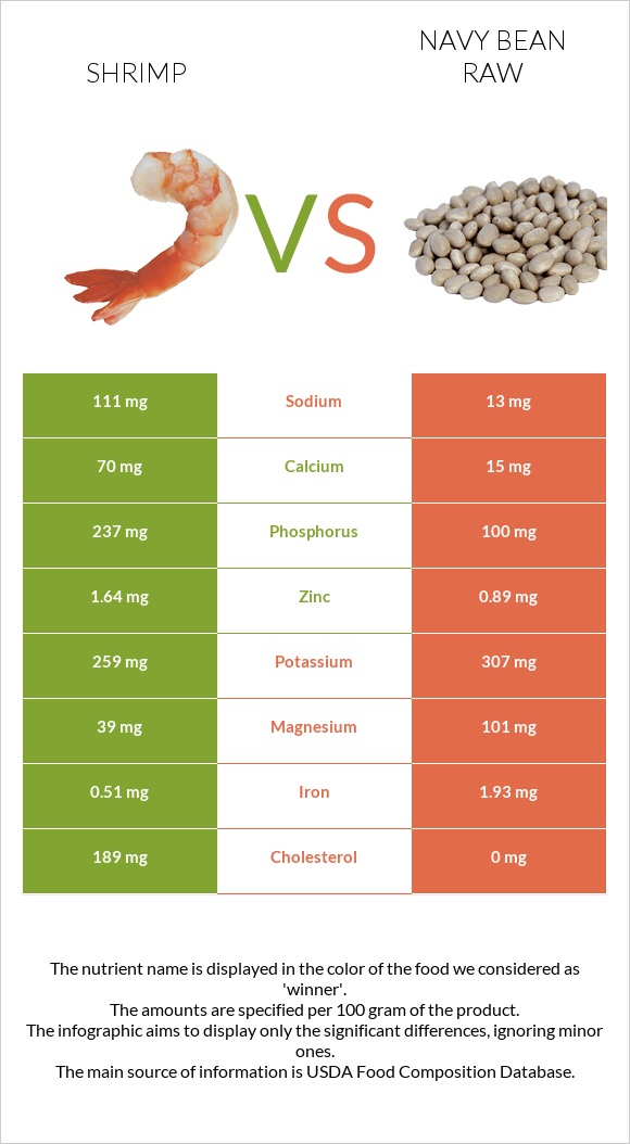 Shrimp vs Navy bean raw infographic