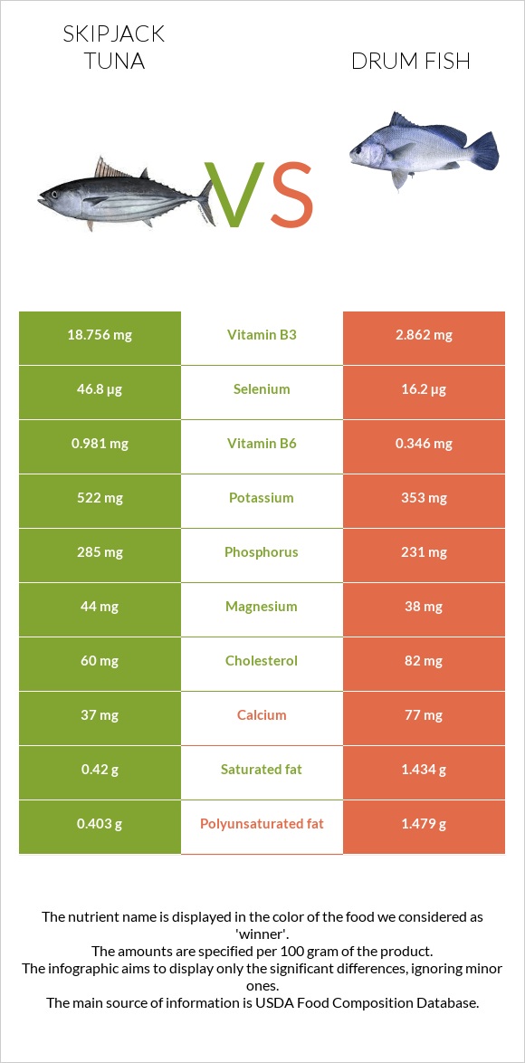 Գծավոր թունա vs Drum fish infographic