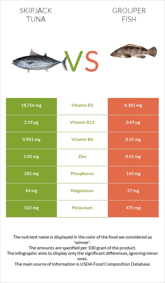 Գծավոր թունա vs Grouper fish infographic